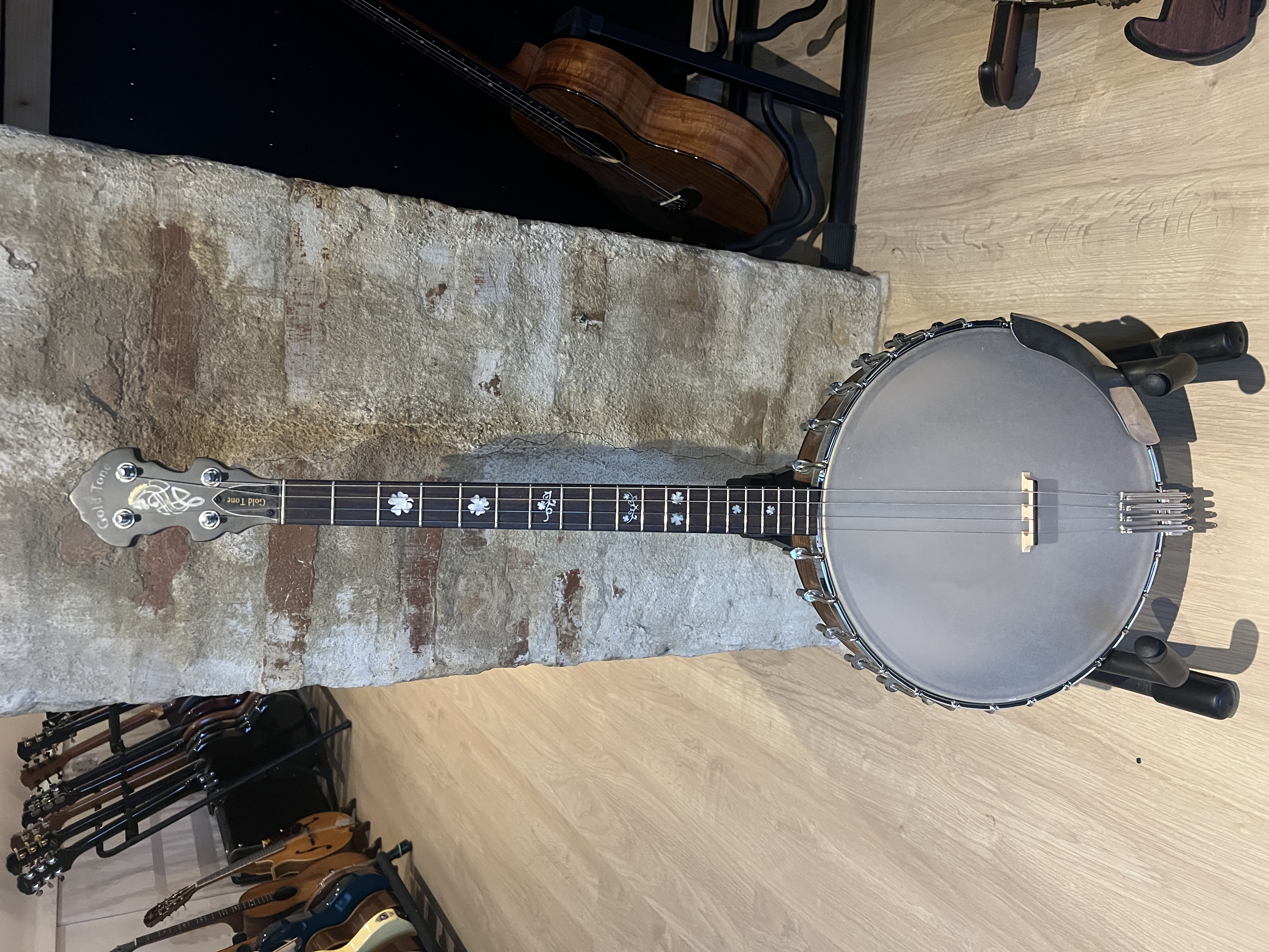 Gold Tone Irish Tenor