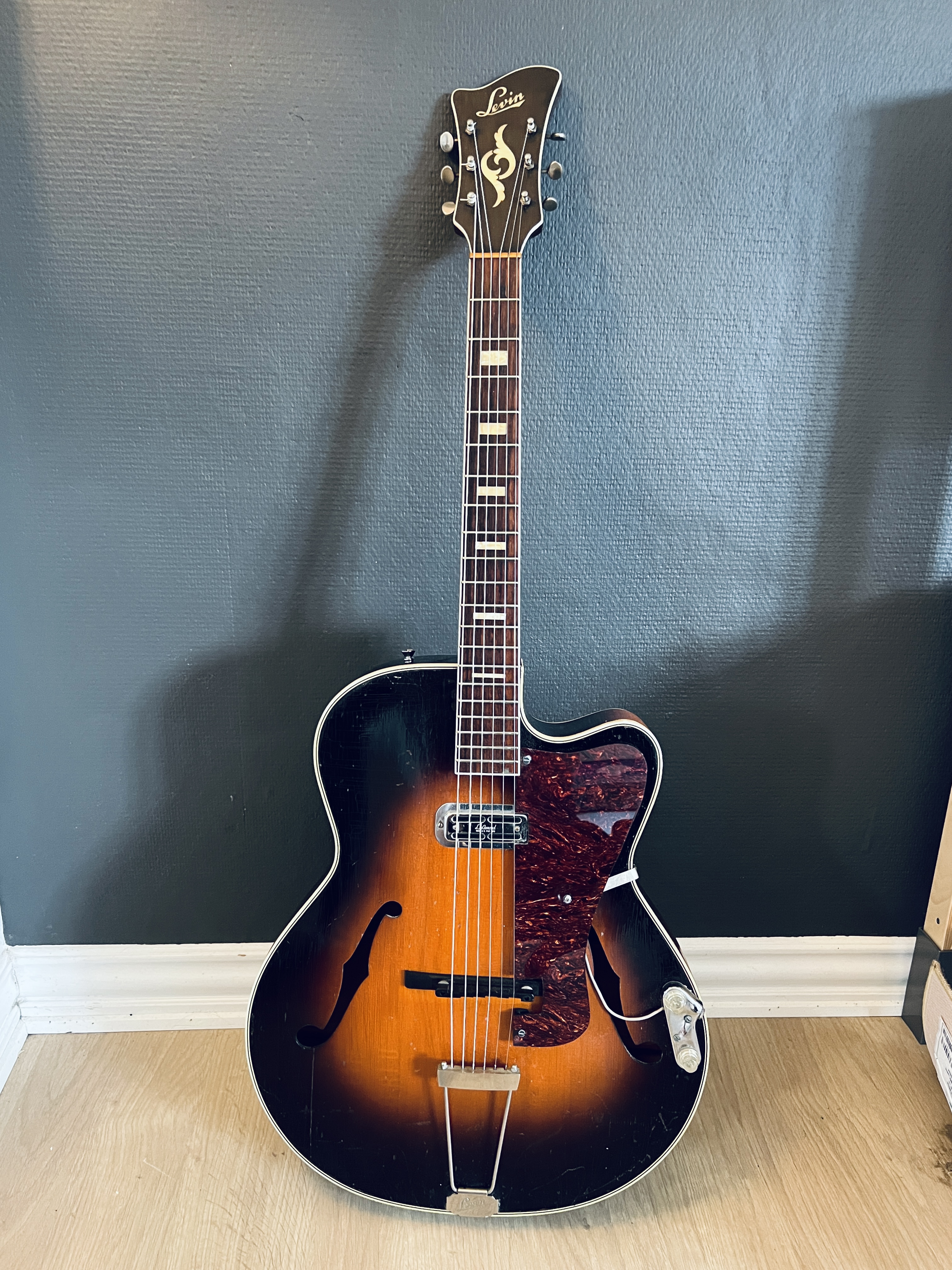 Levin Model 5