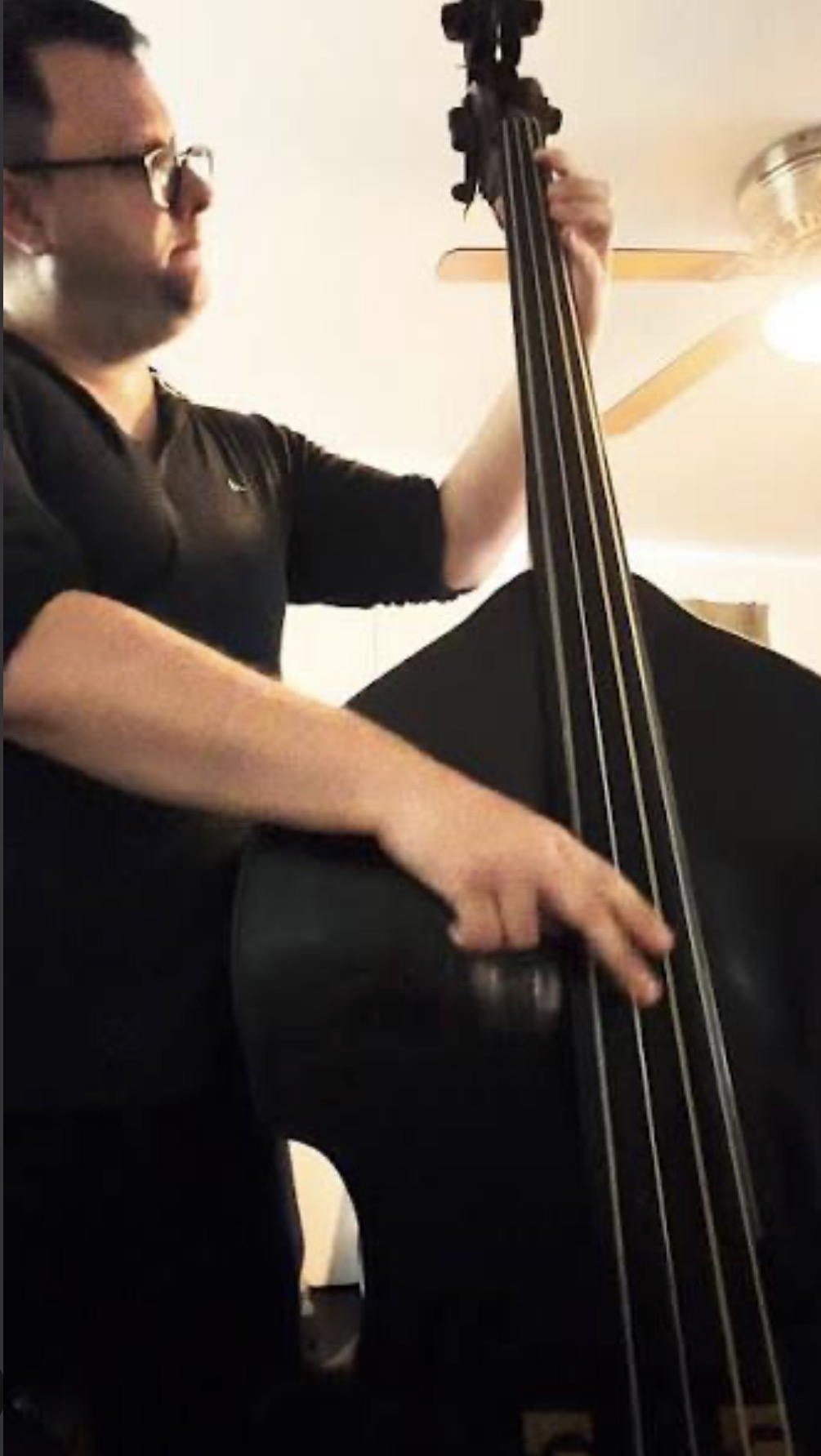 Professional Musicians & Planet Wing Pickups