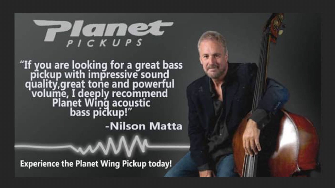 Professional Musicians & Planet Wing Pickups